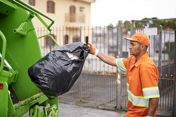 Best Electronics Removal Services  in Two Harbors, MN